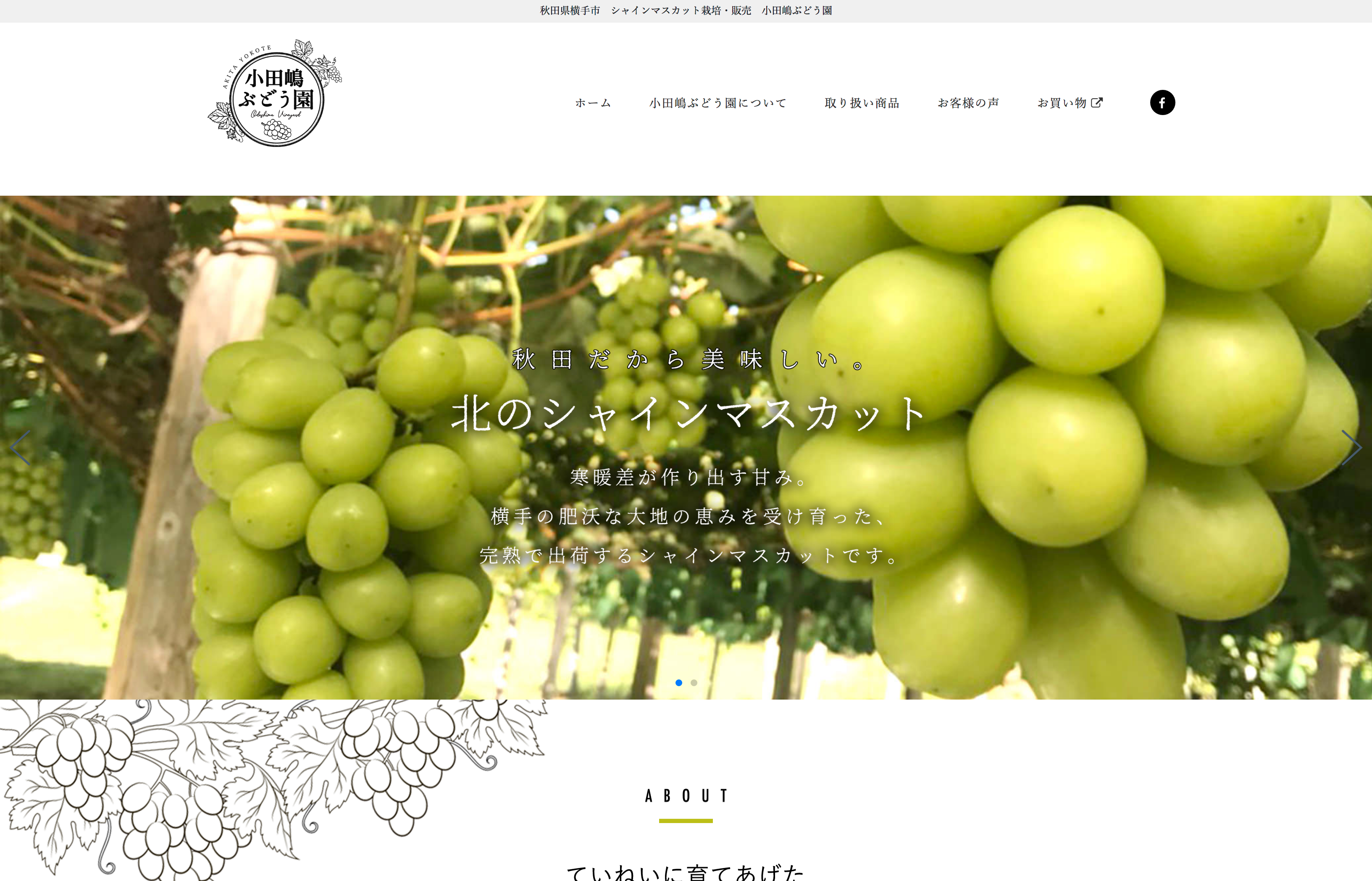 小田嶋ぶどう園-001