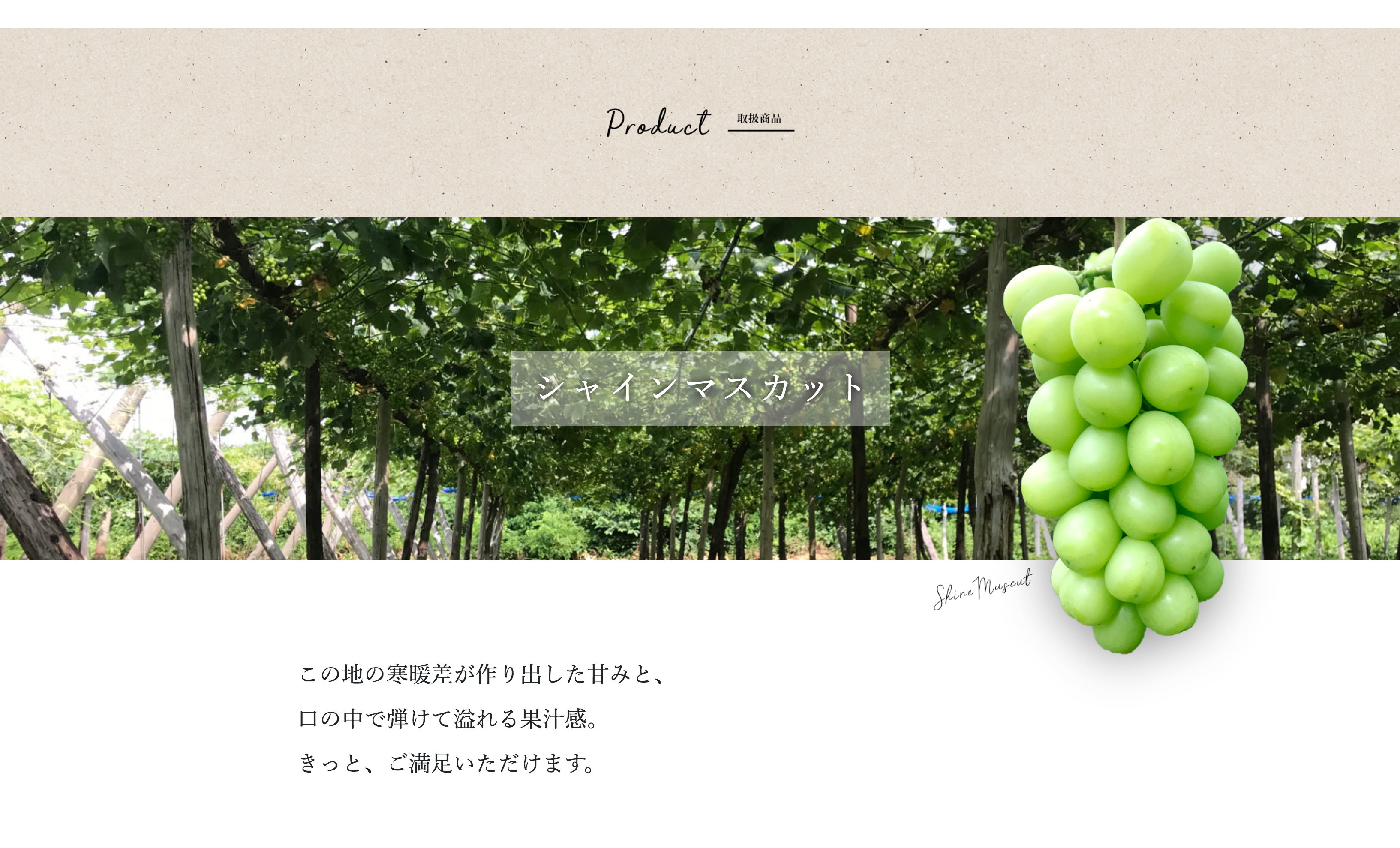 小田嶋ぶどう園-003